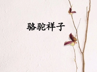 《骆驼祥子》课件