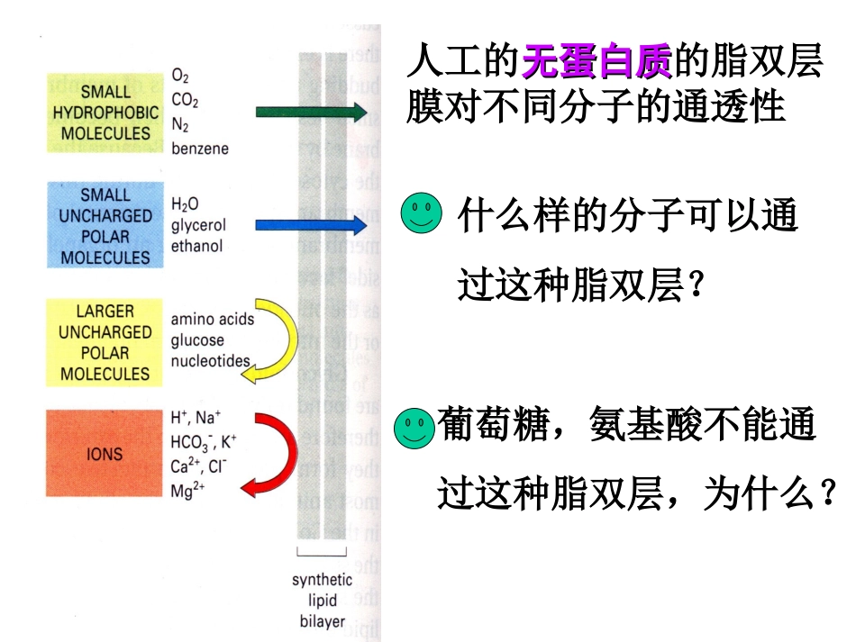 物质跨膜运输的方式_第2页