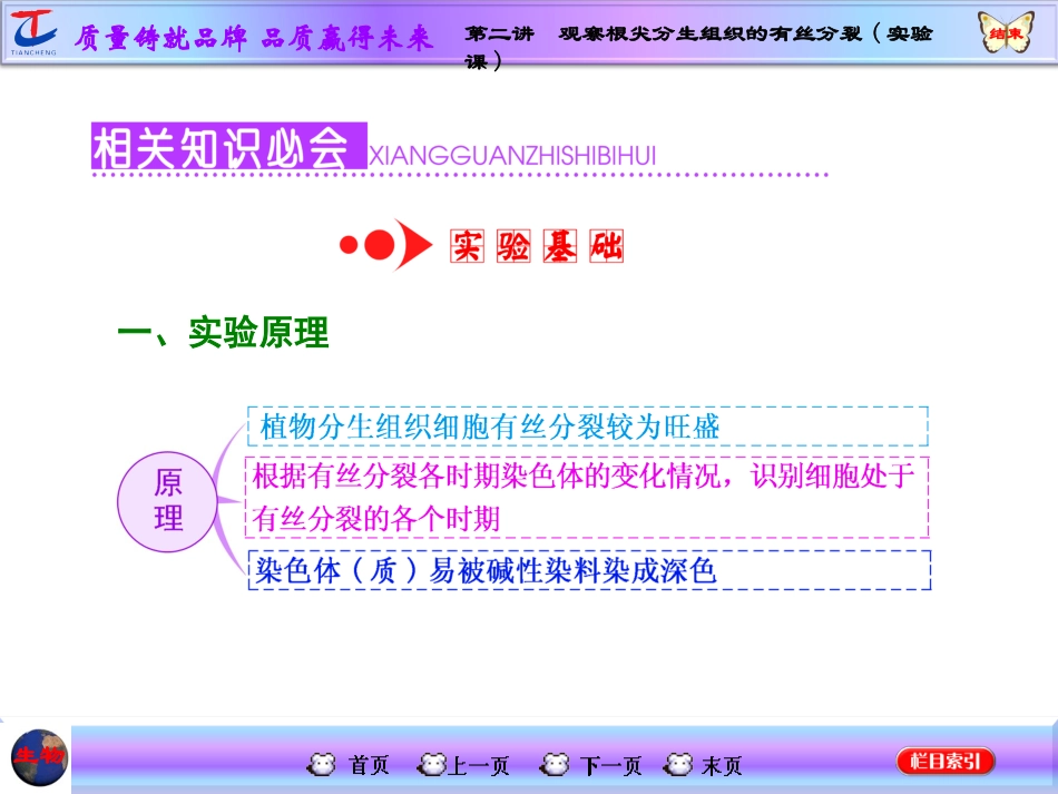 第二讲观察根尖分生组织的有丝分裂_第2页
