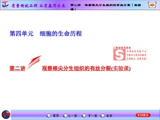 第二讲观察根尖分生组织的有丝分裂