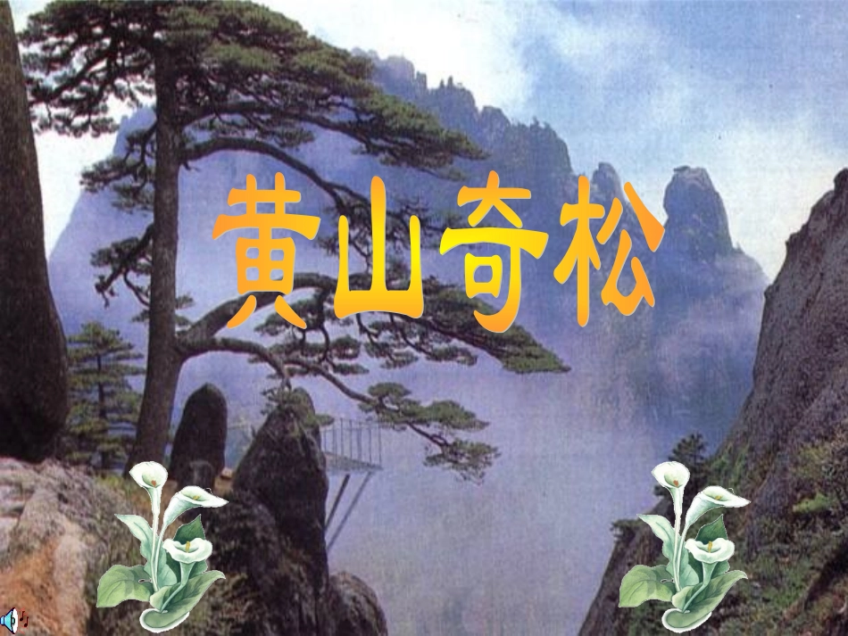 周思凝《黄山奇松》课件_第1页