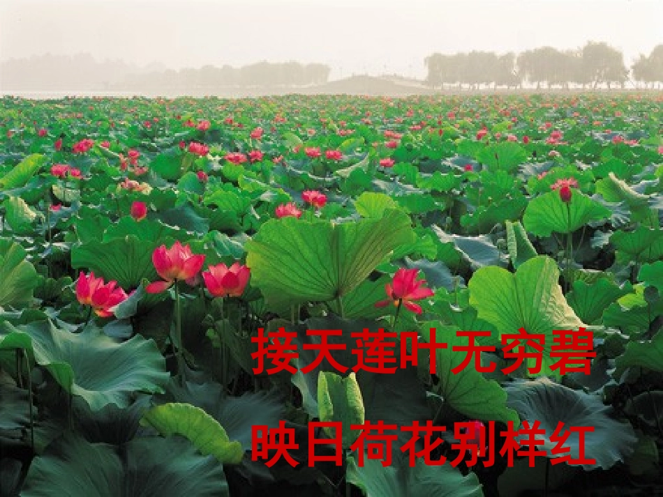 湖心亭看雪张岱_第3页