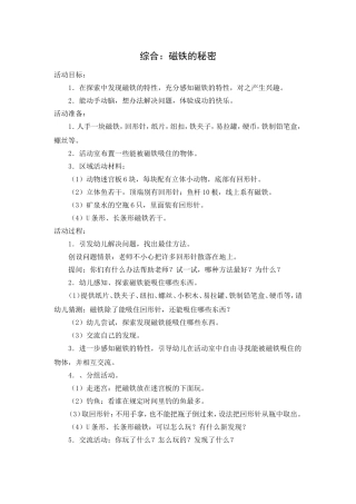 大班综合：磁铁的秘密