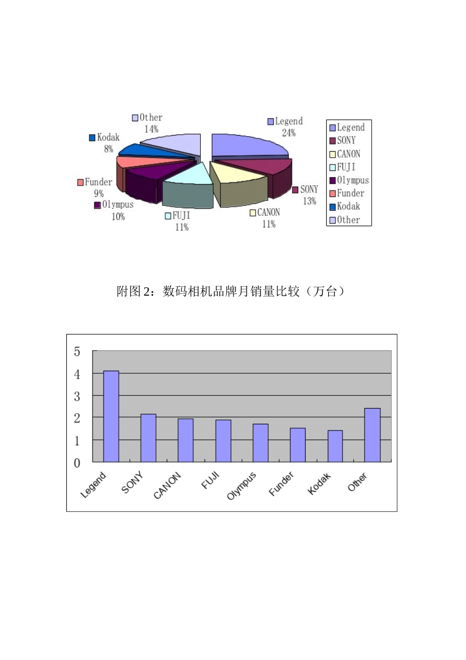某品牌数码相机的市场营销战略_第2页