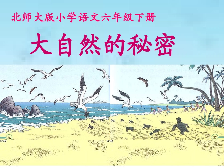 《大自然的秘密》_第1页