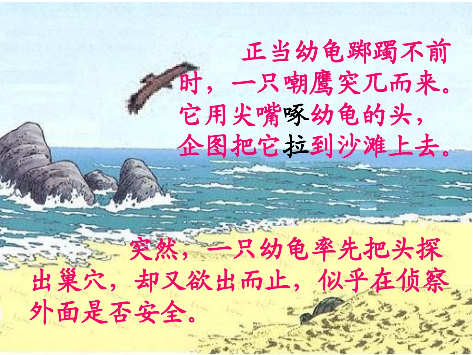 《大自然的秘密》_第2页