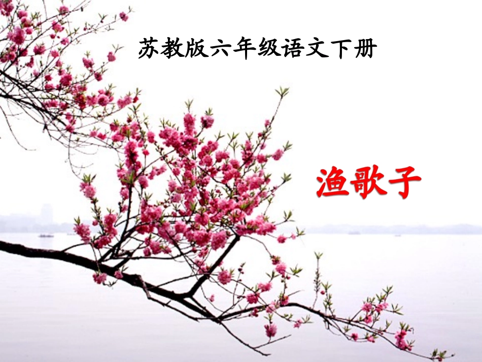 苏教版六年级下册《渔歌子》课件_第1页