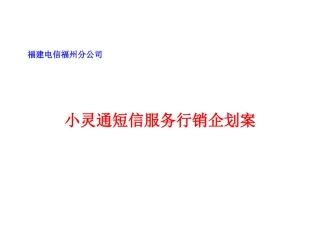 福州小灵通短信服务行销企划案