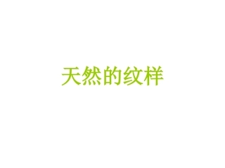 (中小学精品）天然的斑纹