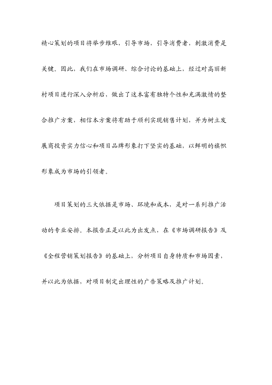 某项目年度营销推广策略方案_第3页