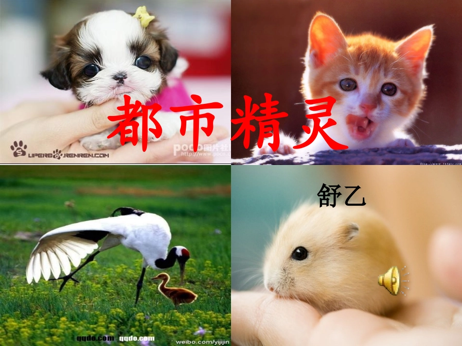 语文教学实例PPT_第1页