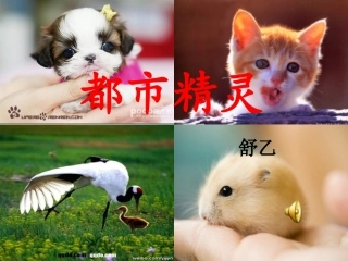 语文教学实例PPT