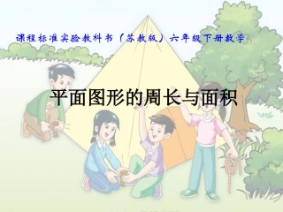 复习平面图形的周长与面积