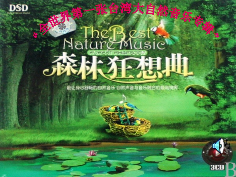 (中小学精品）森林狂想曲_第3页