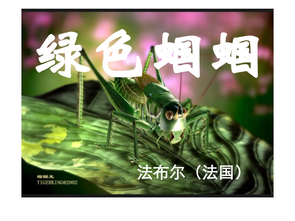 （中小学精品）《绿色蝈蝈》_第1页