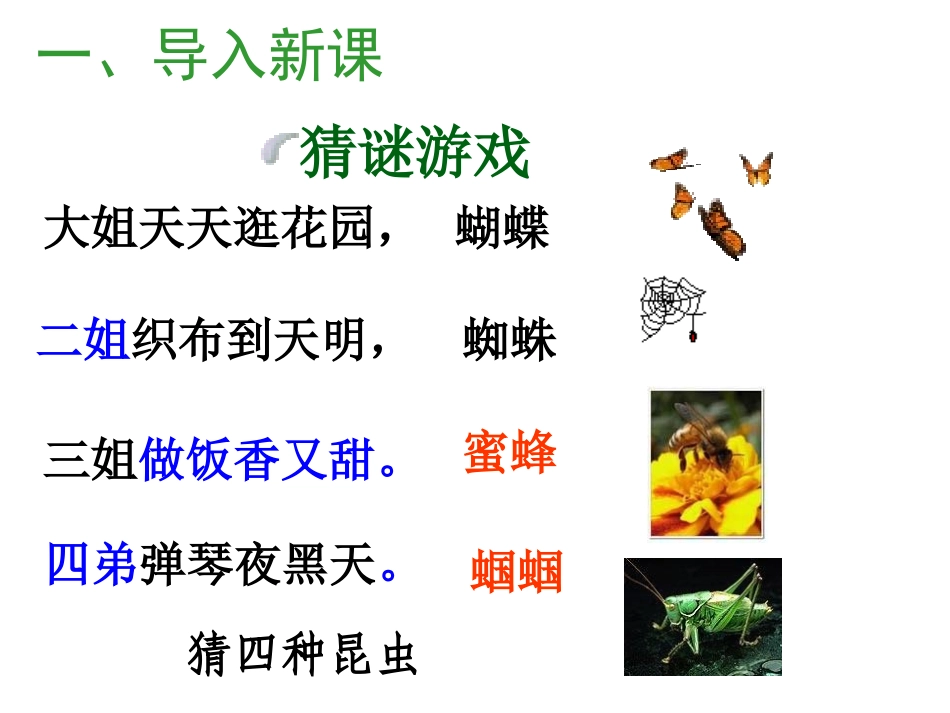 （中小学精品）《绿色蝈蝈》_第3页