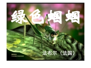 （中小学精品）《绿色蝈蝈》
