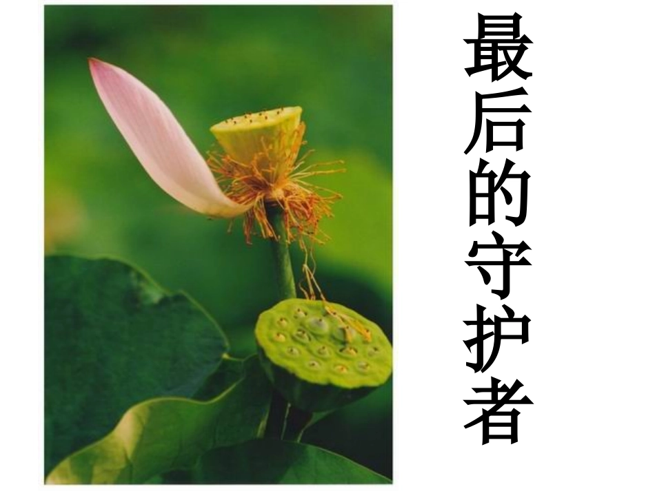 掀起话题作文的盖头来（改）_第3页