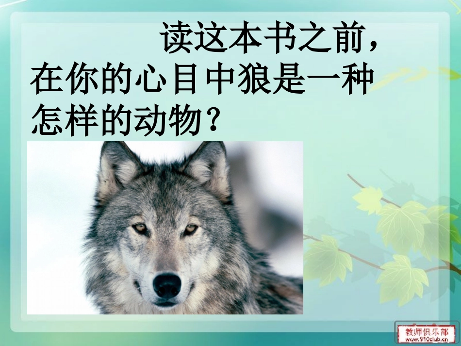 《狼王梦》阅读指导课_第3页