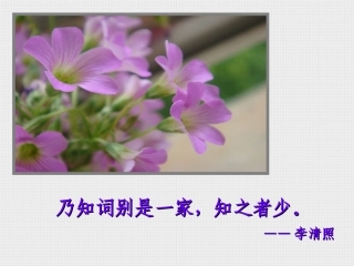 （宋词）宋词的学习