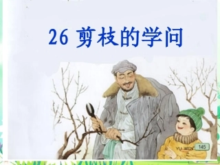 王丽剪枝的学问