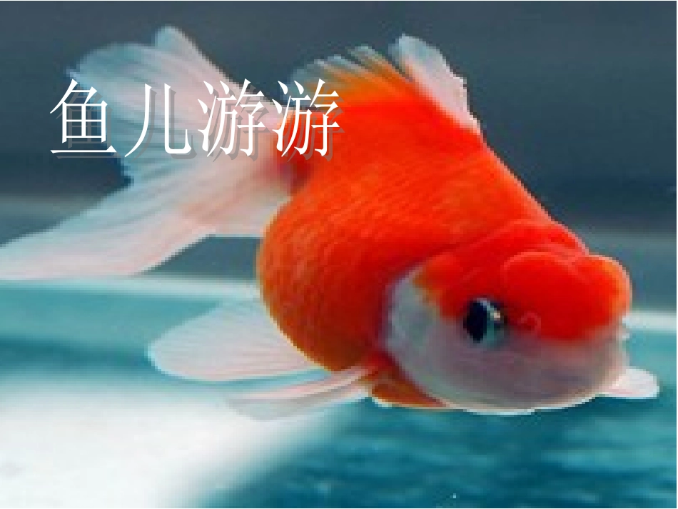 第八课鱼儿游游课件_第1页