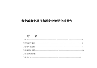 盘龙城商业项目市场定位论证分析报告