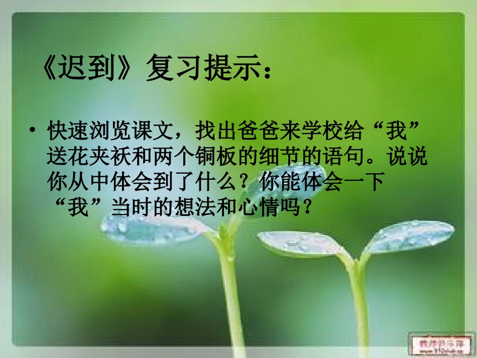 面对错误复习课_第3页