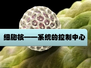 细胞核系统的控制中心myy