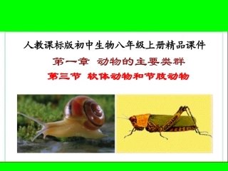 软体动物和节肢动物