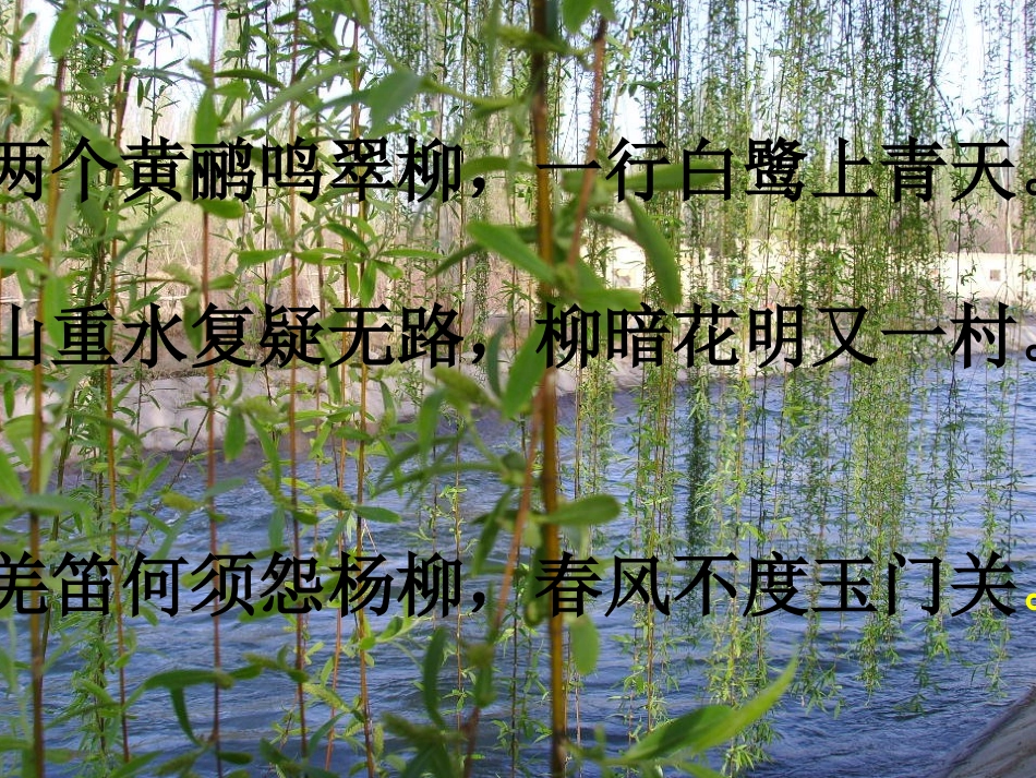 柳叶儿课件讲课_第2页