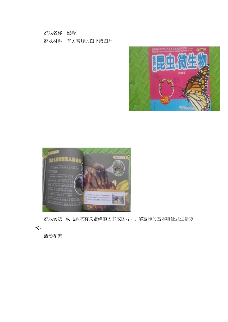 中班音乐：蜜蜂_第2页