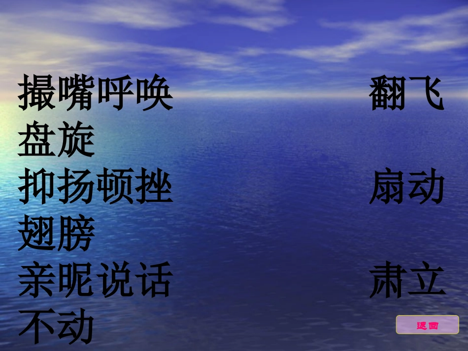《老人与海鸥》课件孙云_第2页