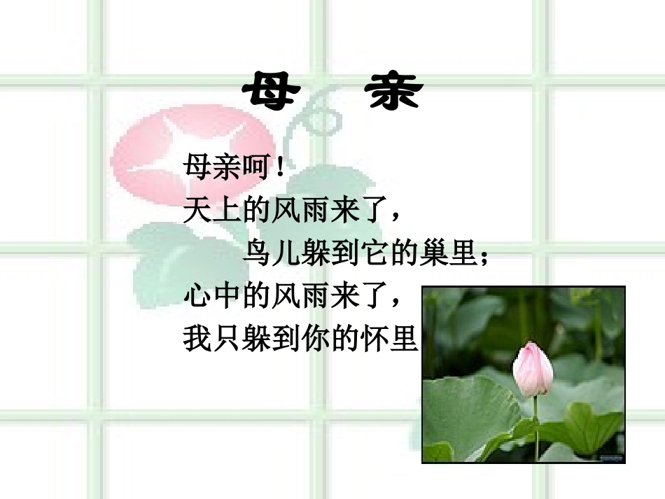 七上第一单元冰心诗四首课件_第3页