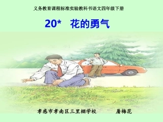 语文四下《花的勇气》（屠梅花）