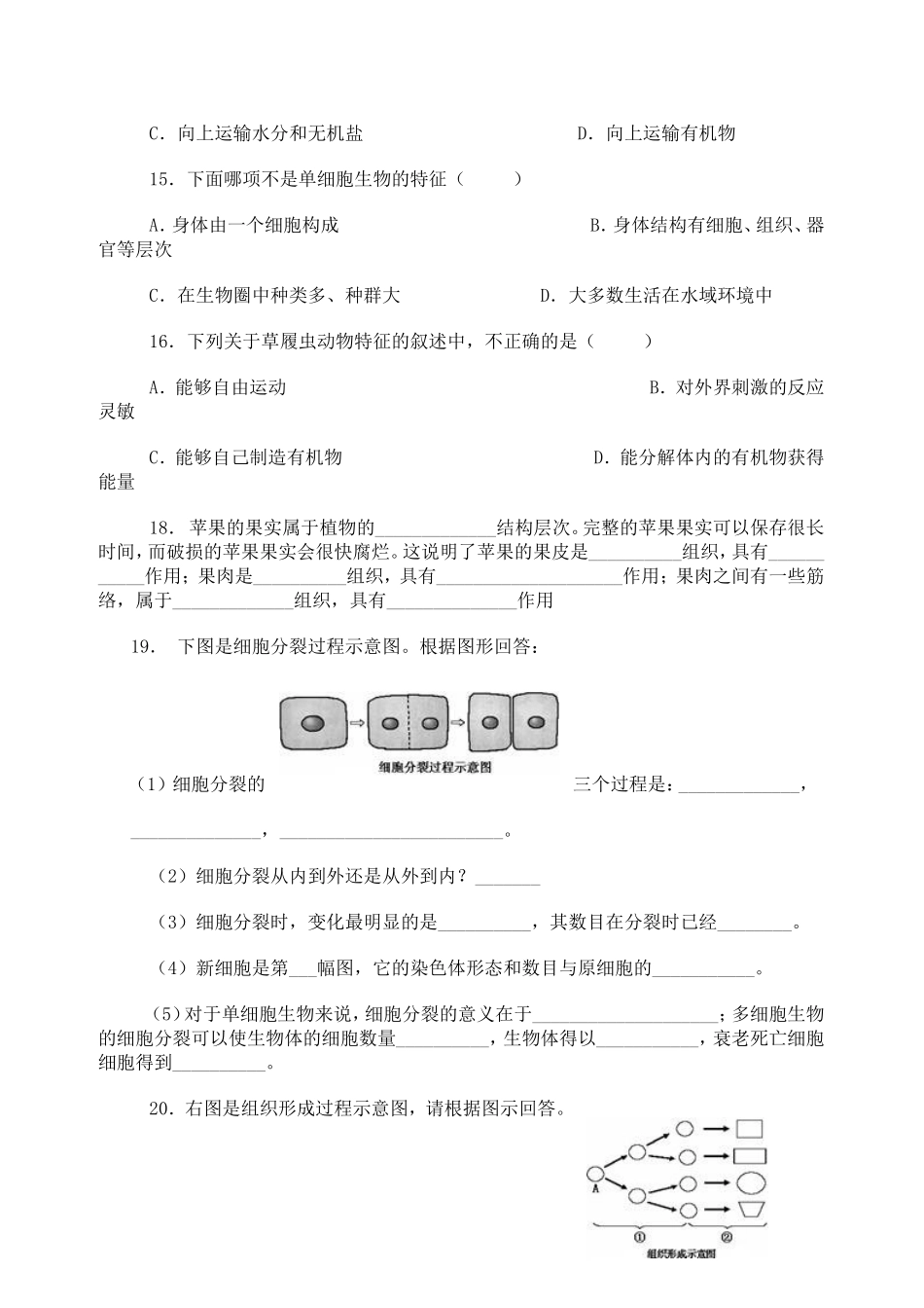 第二单元第二章细胞怎样构成生物体测试题_第3页