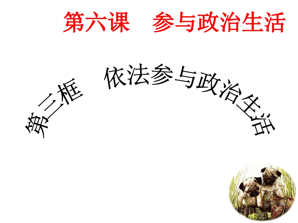 （中小学精品）依法参与政治生活_第1页