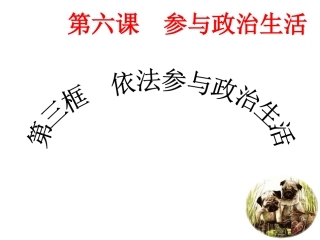 （中小学精品）依法参与政治生活