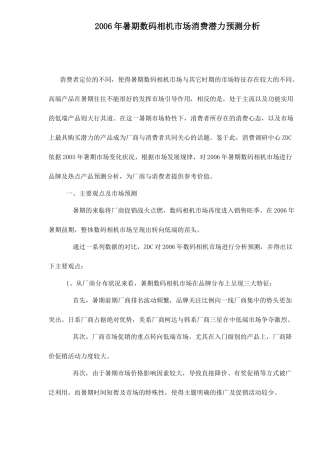 某某年暑期数码相机市场消费潜力预测分析