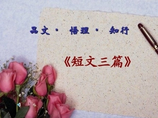 可用热爱生命、人是一根能思想的苇草、信条)》