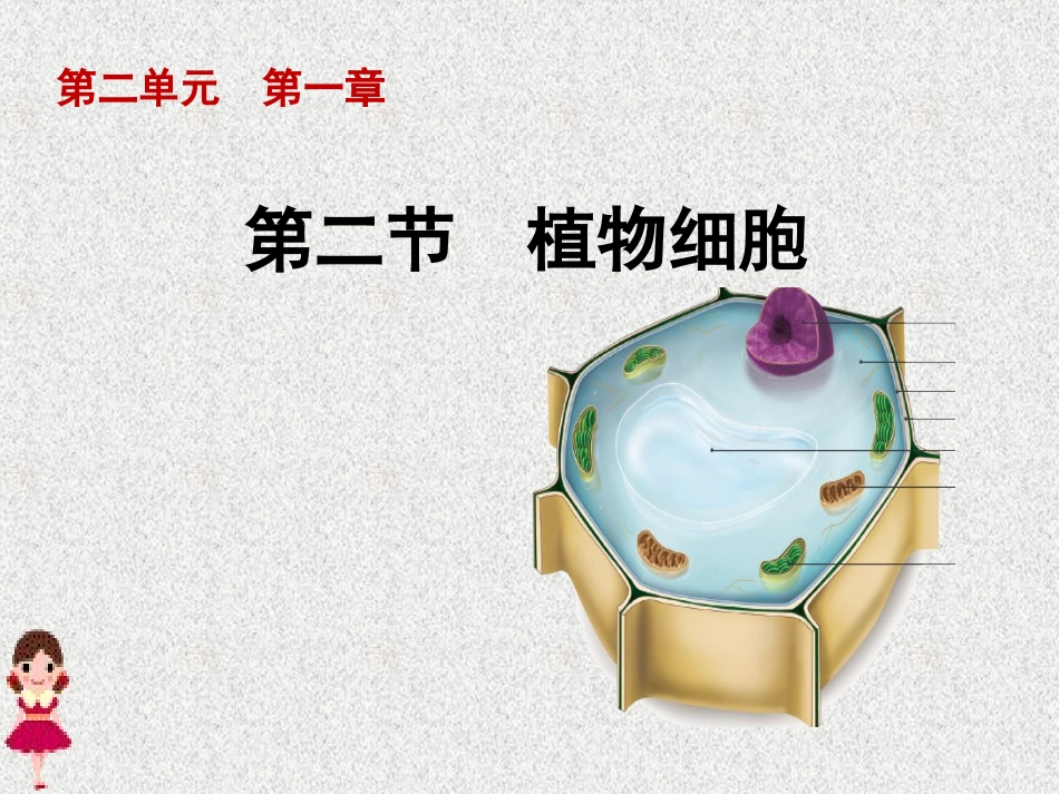 植物细胞课件新人教版_第1页