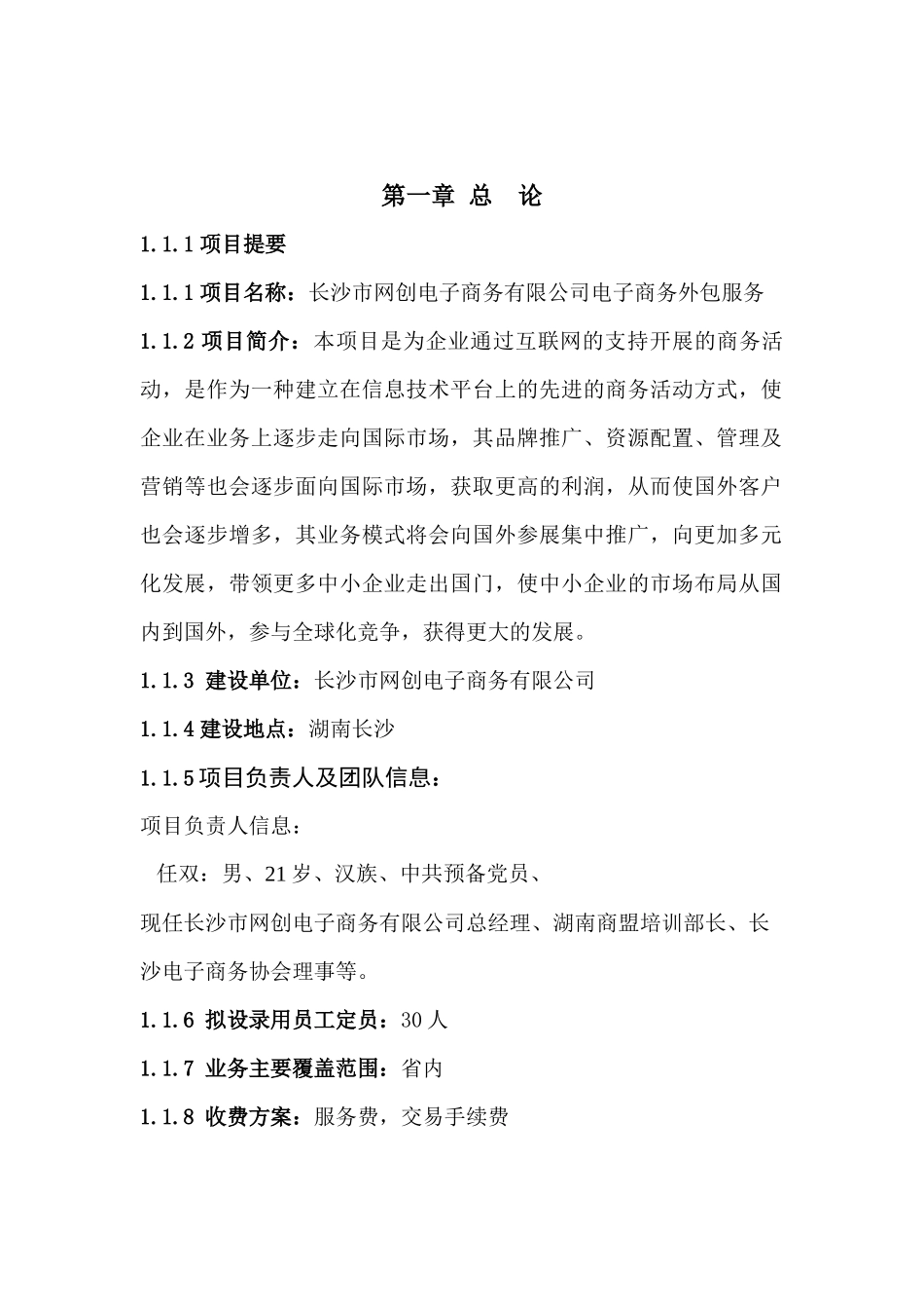 电子商务外包服务可研报告_新_第2页