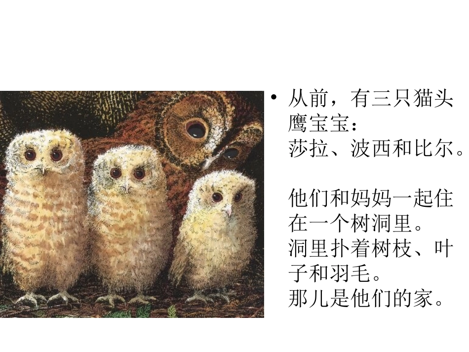 猫头鹰小宝宝_第2页