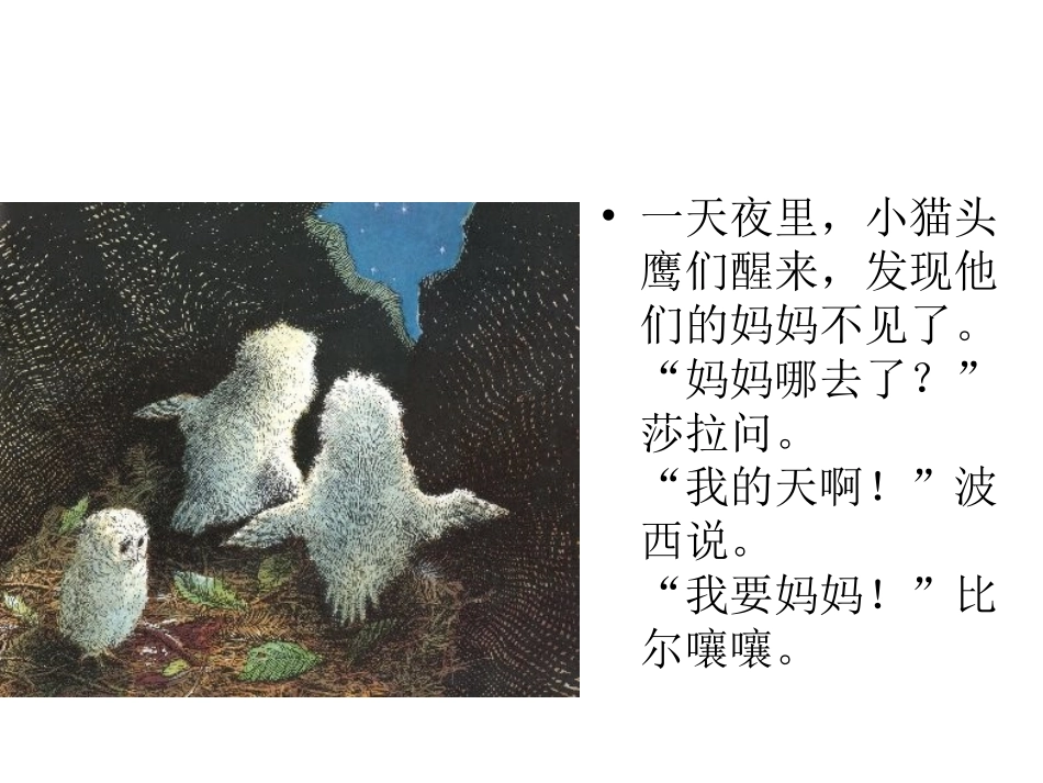 猫头鹰小宝宝_第3页