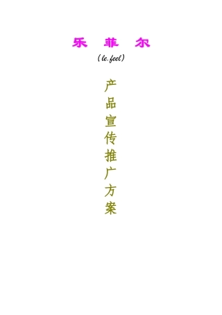 拎包品牌宣传推广营销策划案