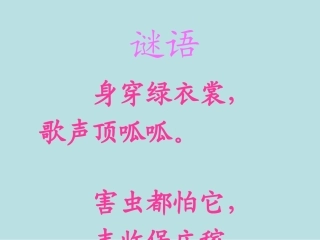 小青蛙找家课件