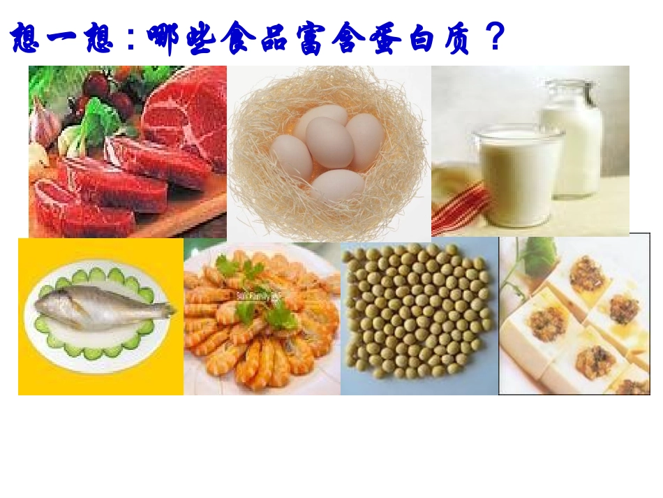 第二节生命活动的主要承担者(田家炳中学常琦)_第3页