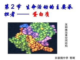 第二节生命活动的主要承担者(田家炳中学常琦)