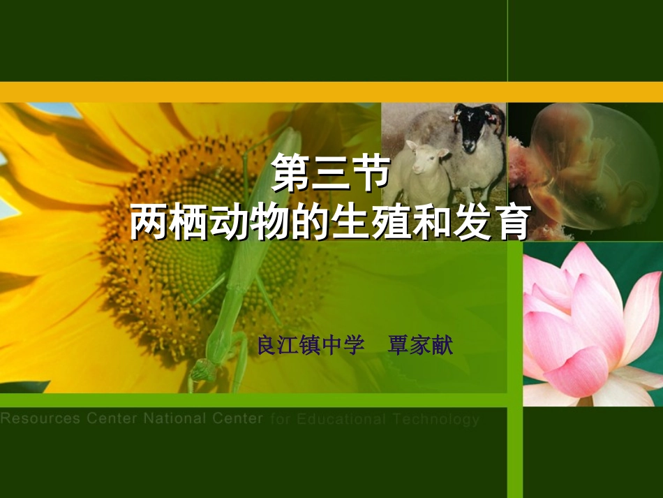(中小学精品）两栖动物的生殖和发育_第3页