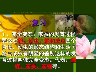 (中小学精品）两栖动物的生殖和发育